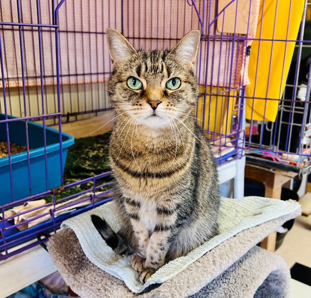 Ms Lucky — thumbnail 6