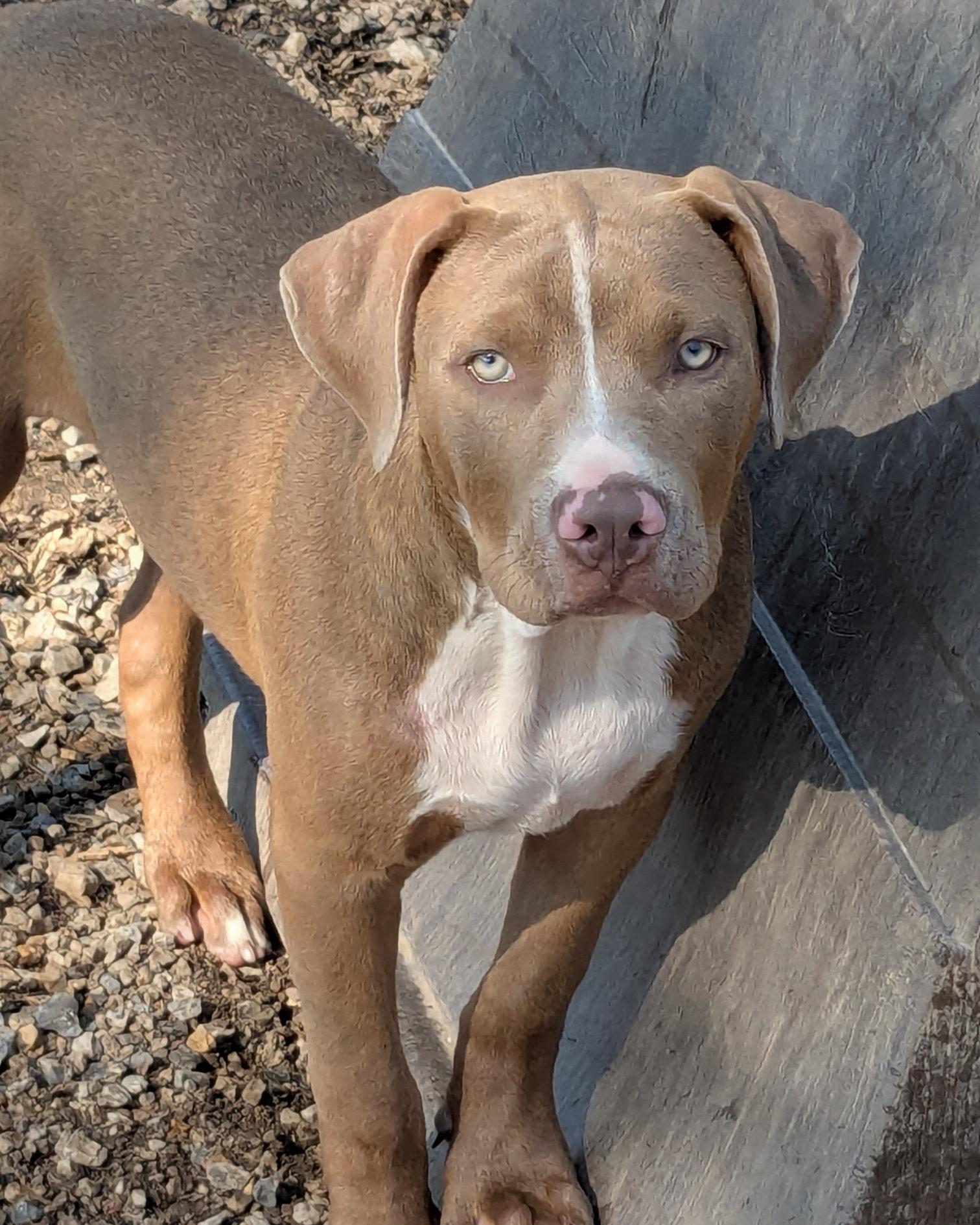 Jax