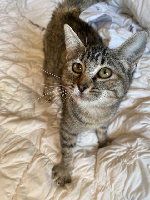 Penelope photo 2