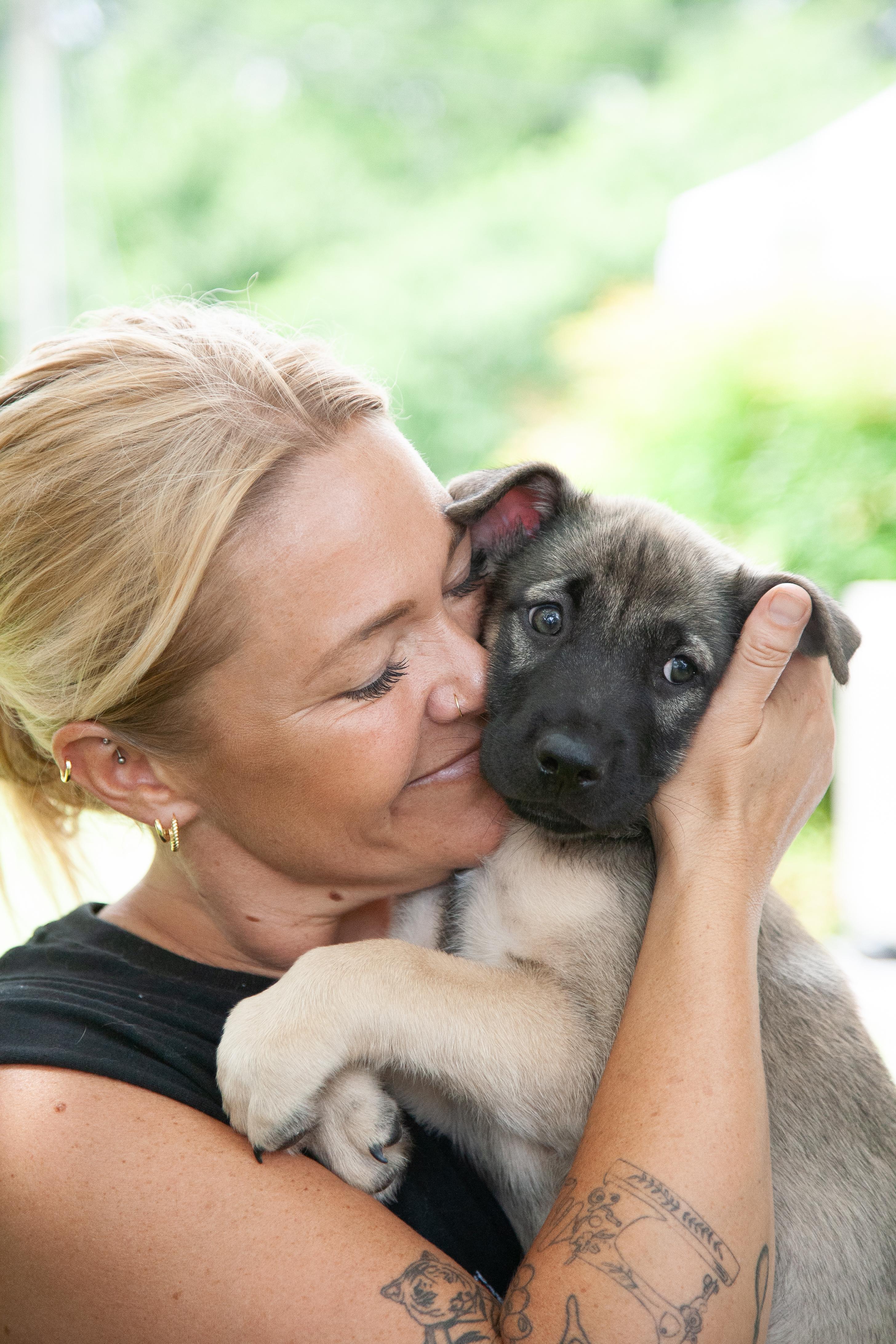 Drake, a Adoptable mixed breed in Nashville, TN image 2/3
