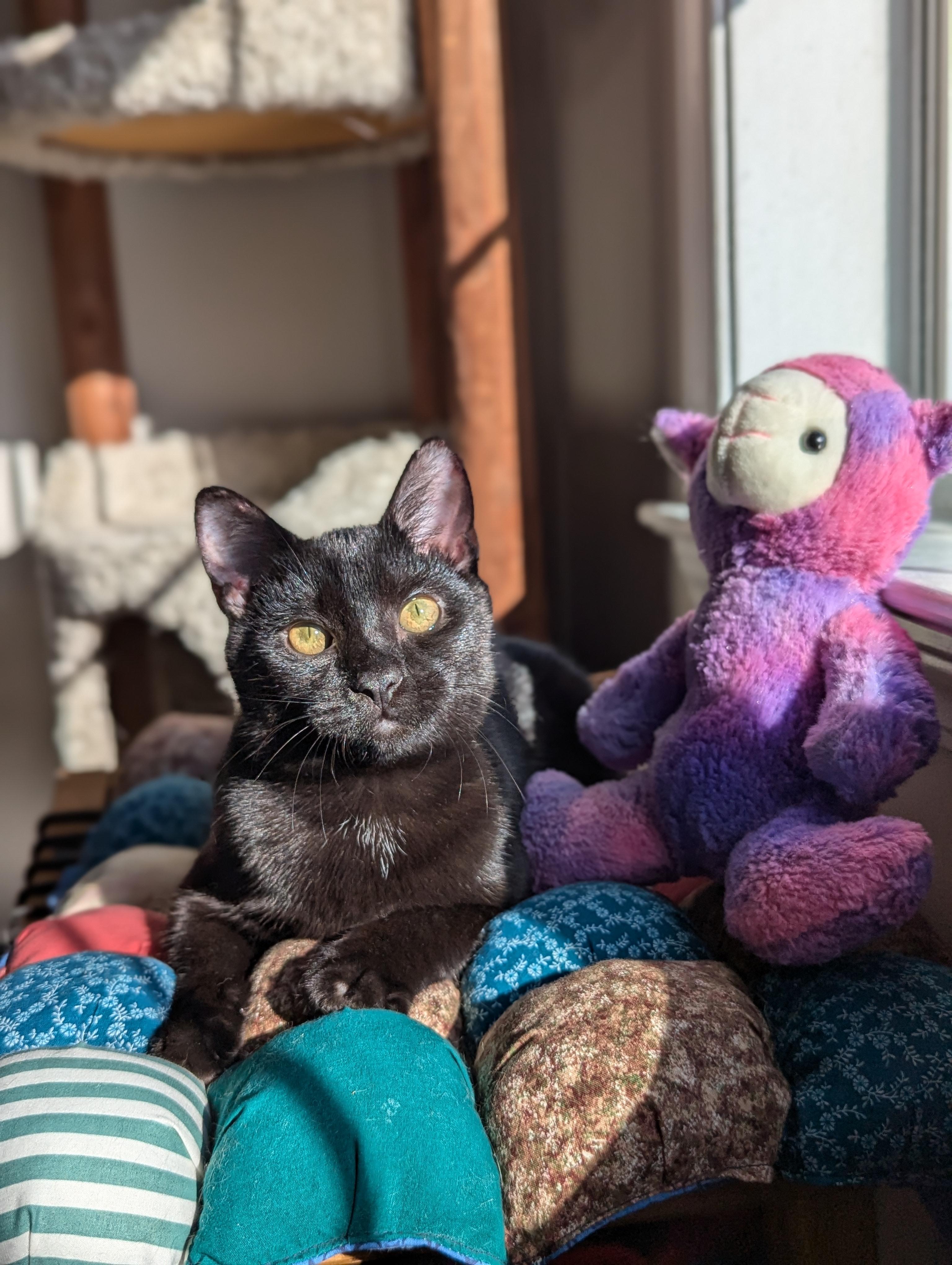 Texas Pete thumbnail 5