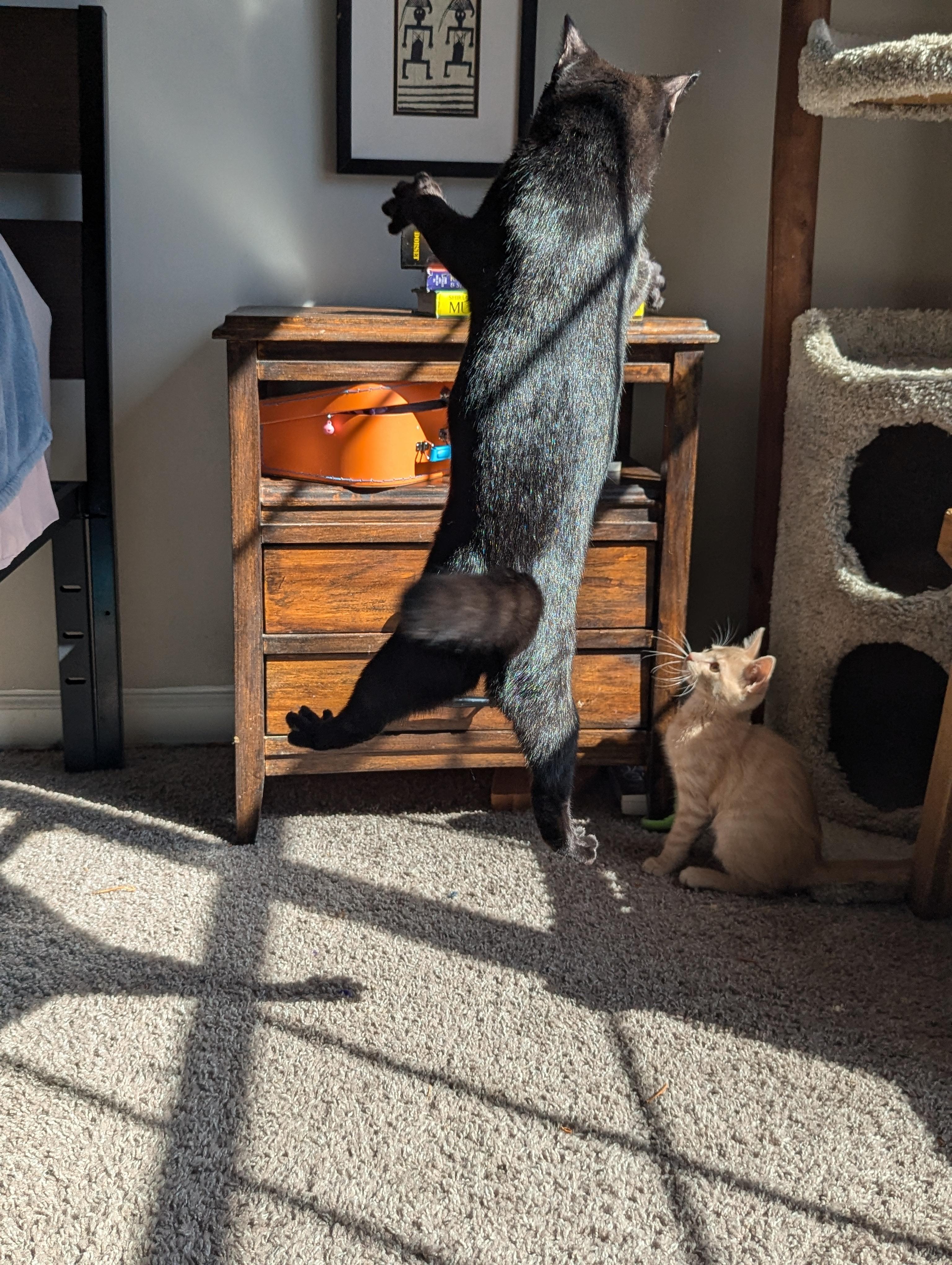 Texas Pete thumbnail 6