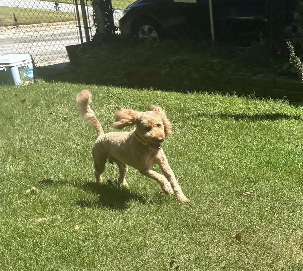 Jax