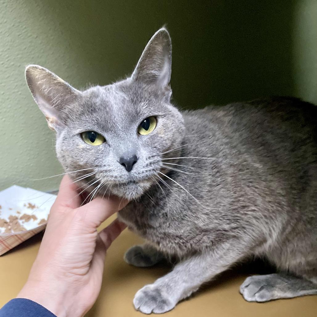 Monalisa — thumbnail 5