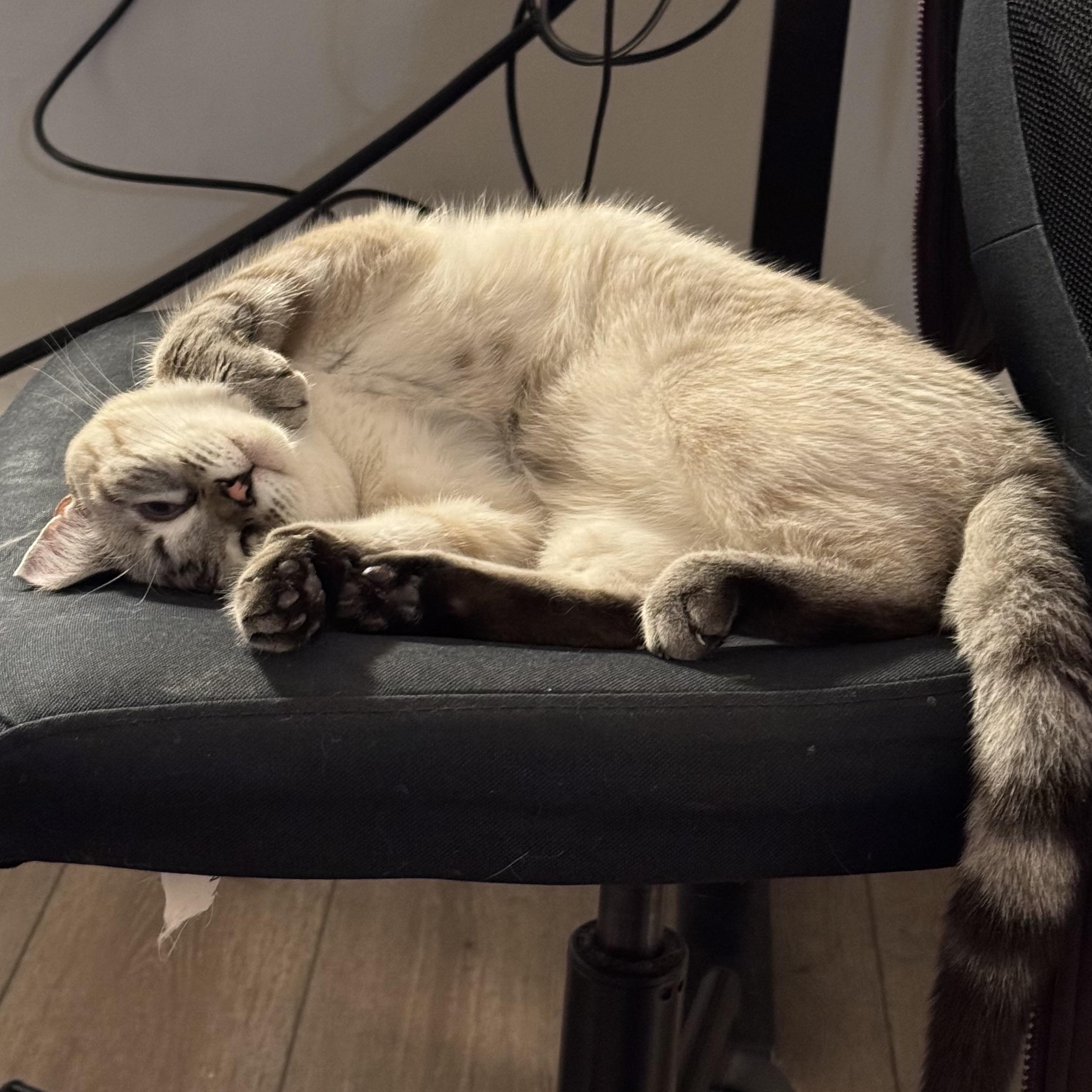 Brooklyn thumbnail 4