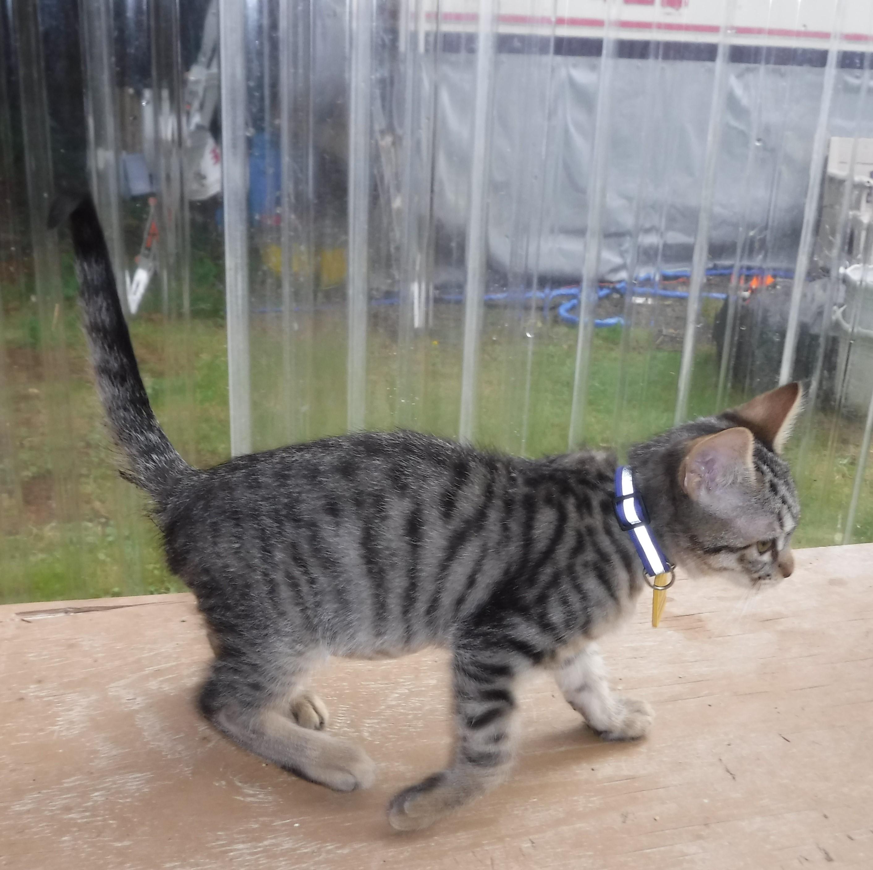 Joey  Lots Of thumbnail 4