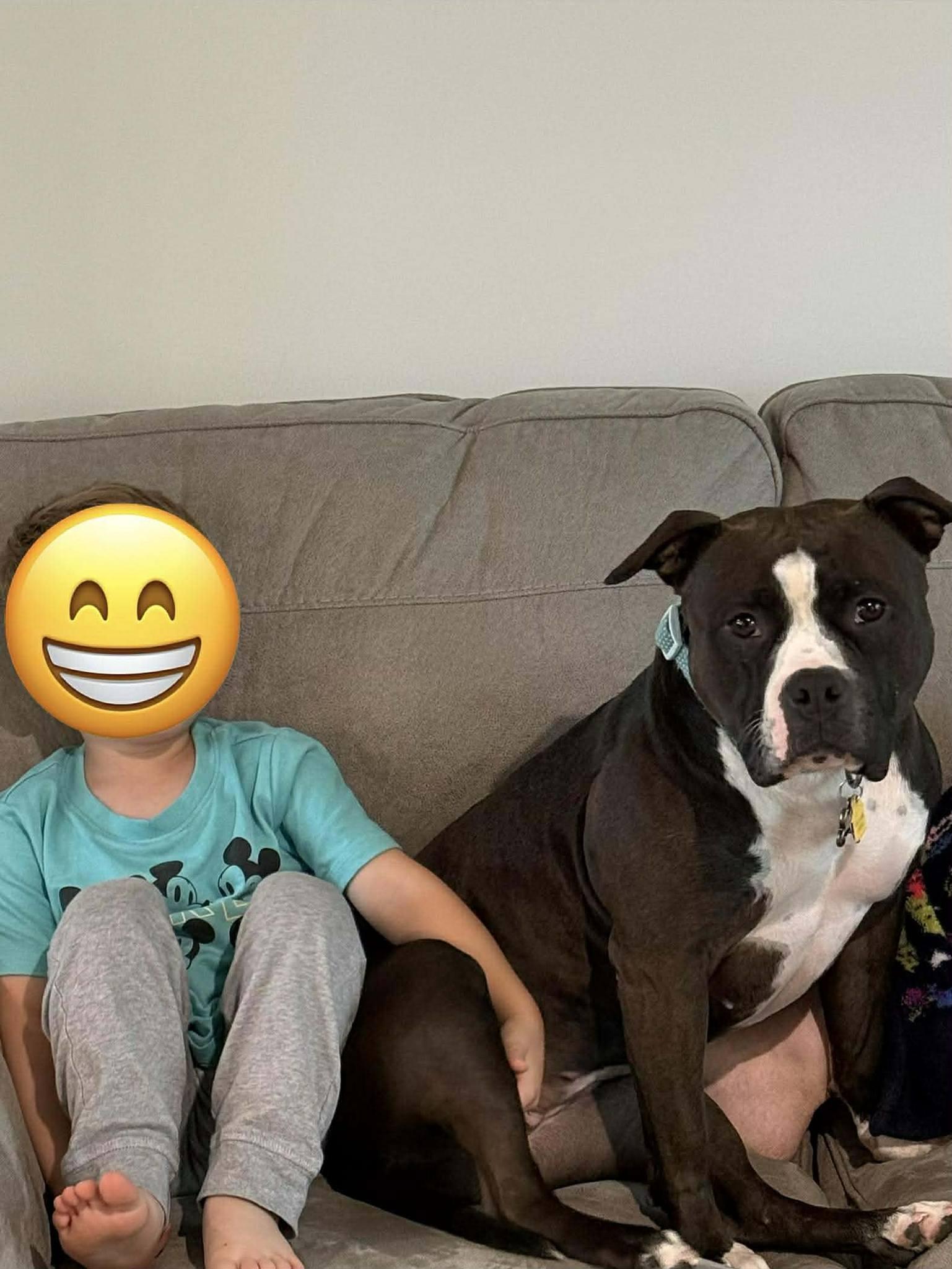 Enlarge Lucy, a ADOPTABLE mixed breed in Speedway, IN image 6/6