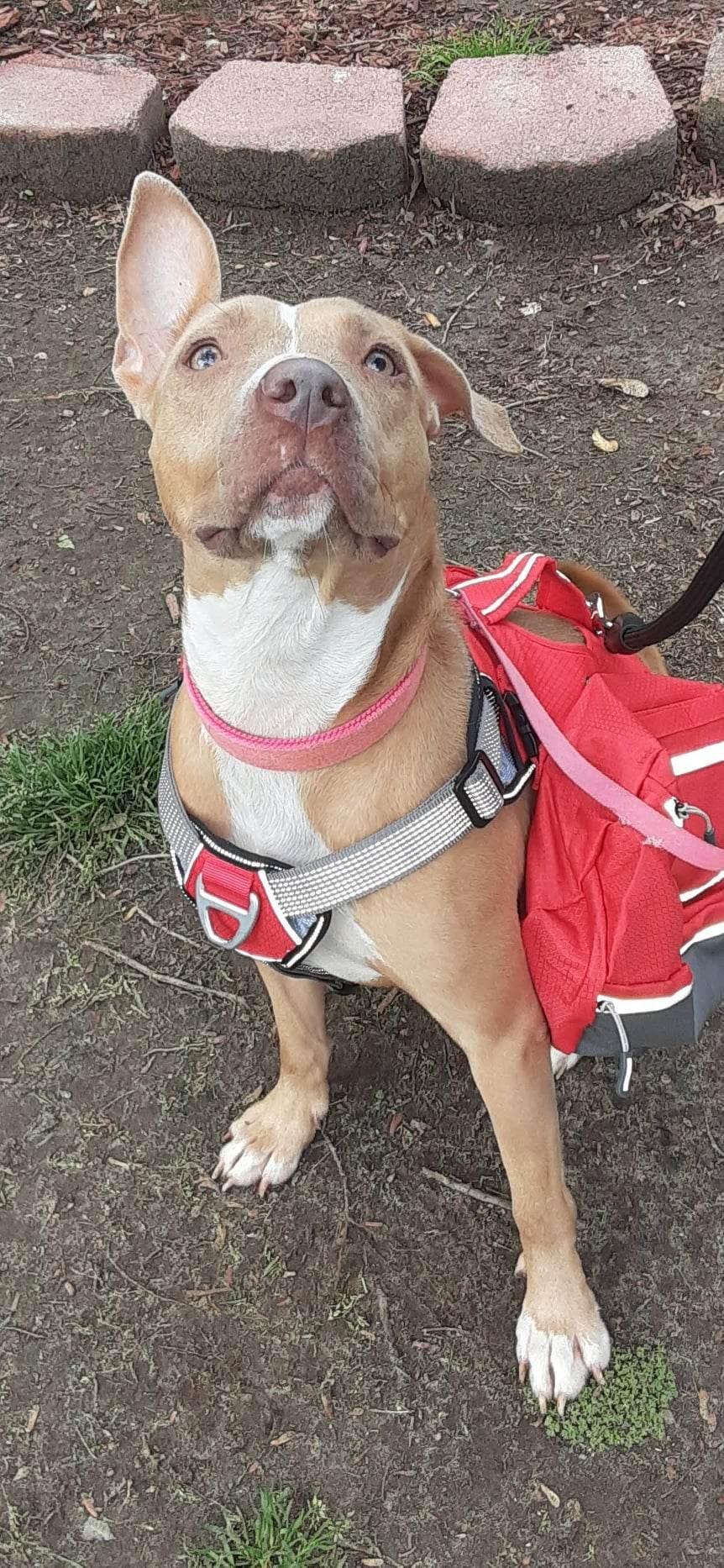 Sensi — thumbnail 5