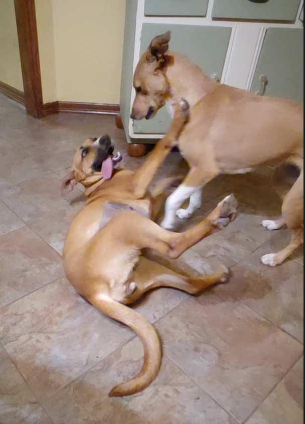 Louise — thumbnail 3