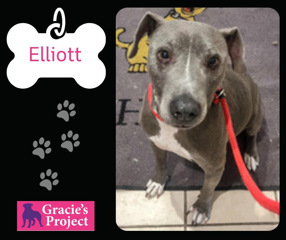 Elliott 2