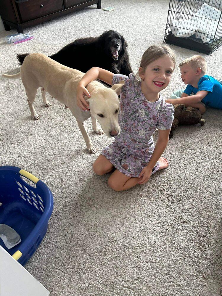 Enlarge Karla, a Adoptable mixed breed in Saugus, MA image 2/6