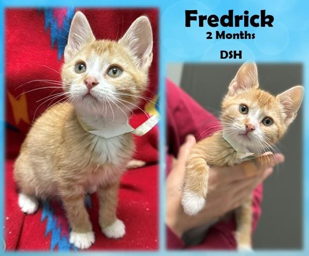 Fredrick