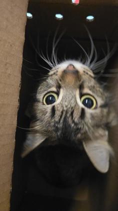 Cutie Pie photo