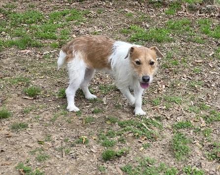 Rudy — thumbnail 4