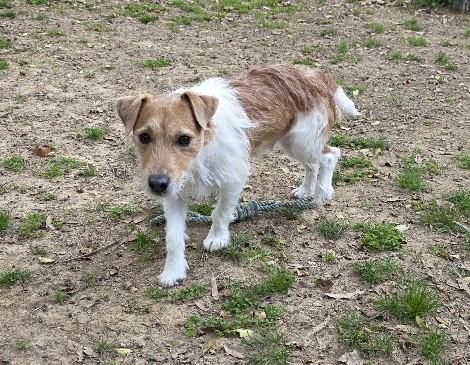 Rudy — thumbnail 5