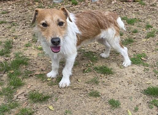 Rudy — thumbnail 6