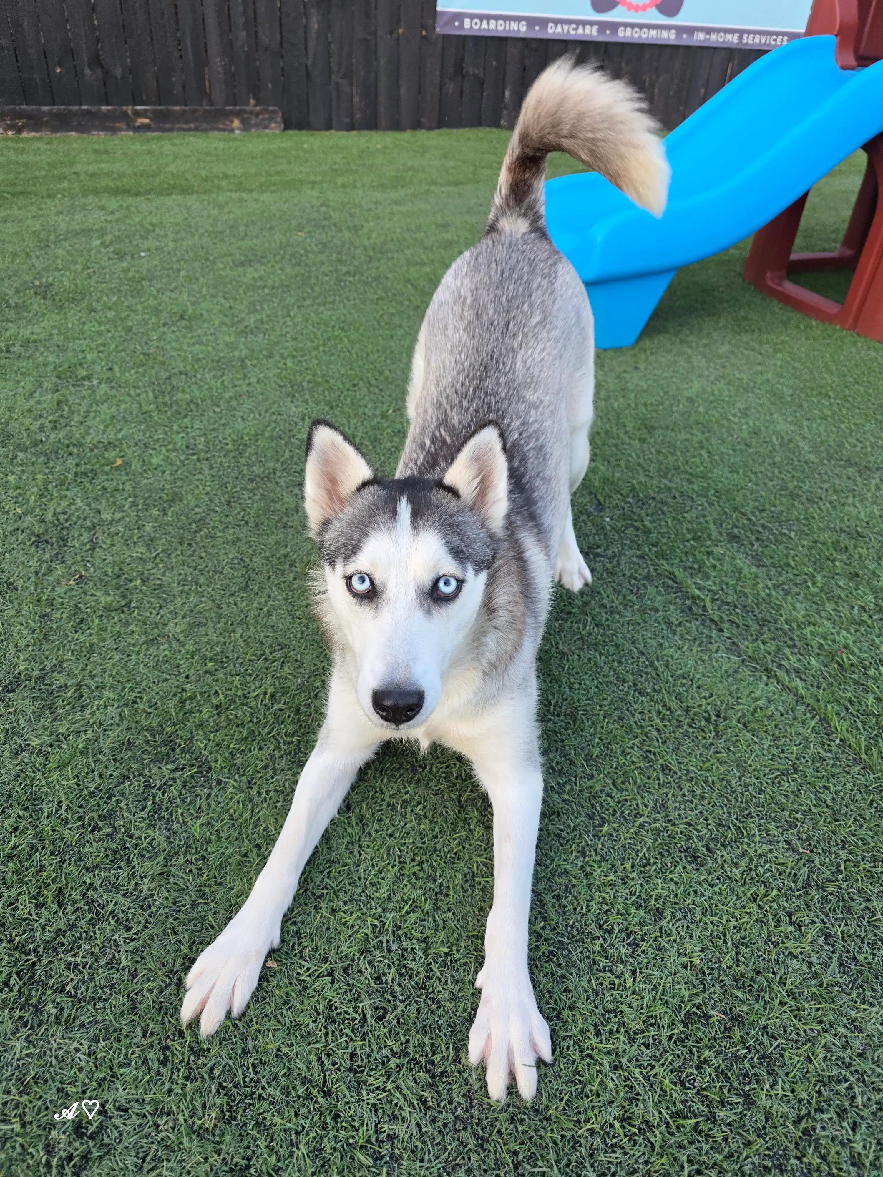 Momma Cinder — thumbnail 5