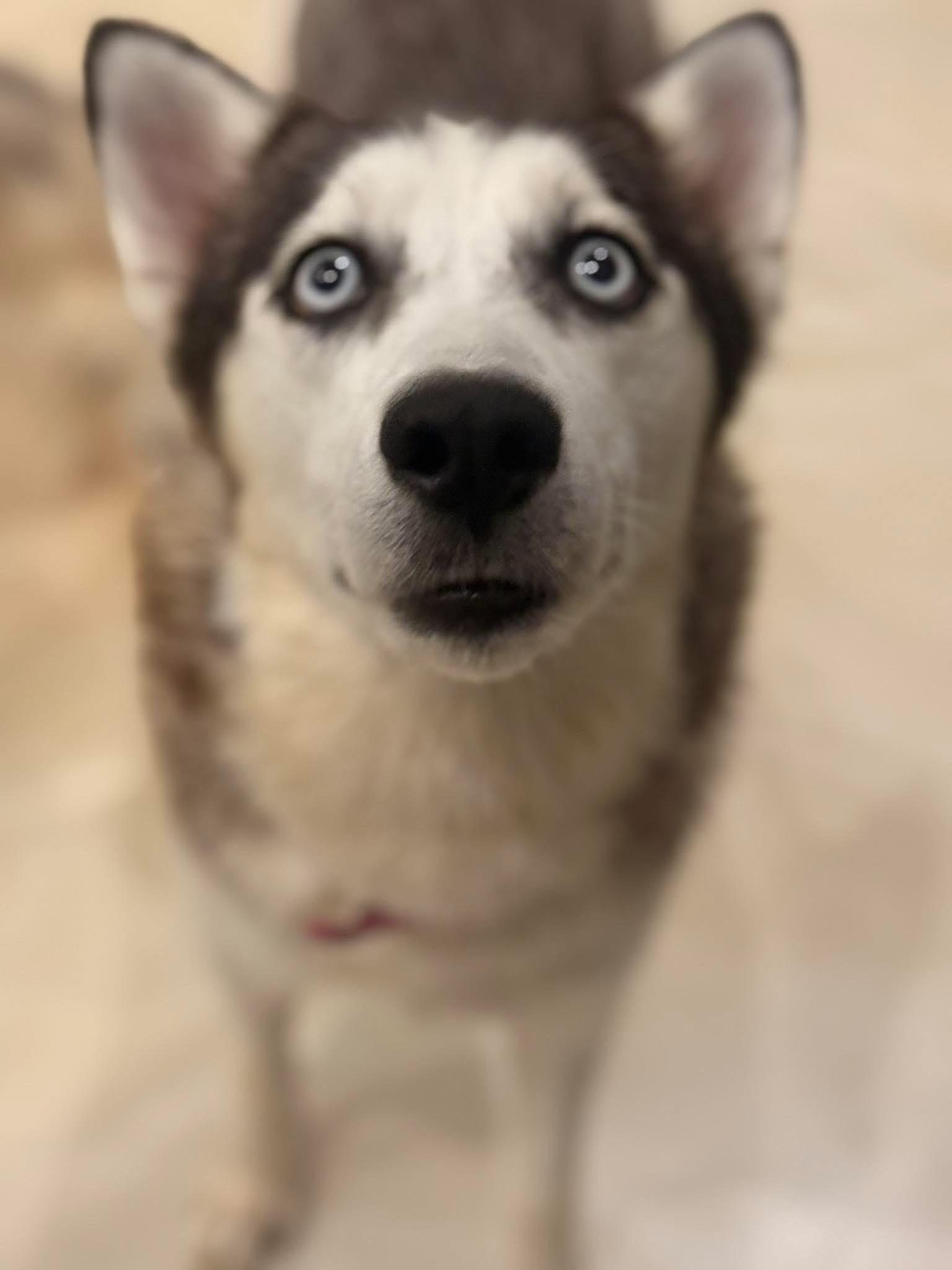 Momma Cinder — thumbnail 6