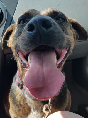 Abby photo 3