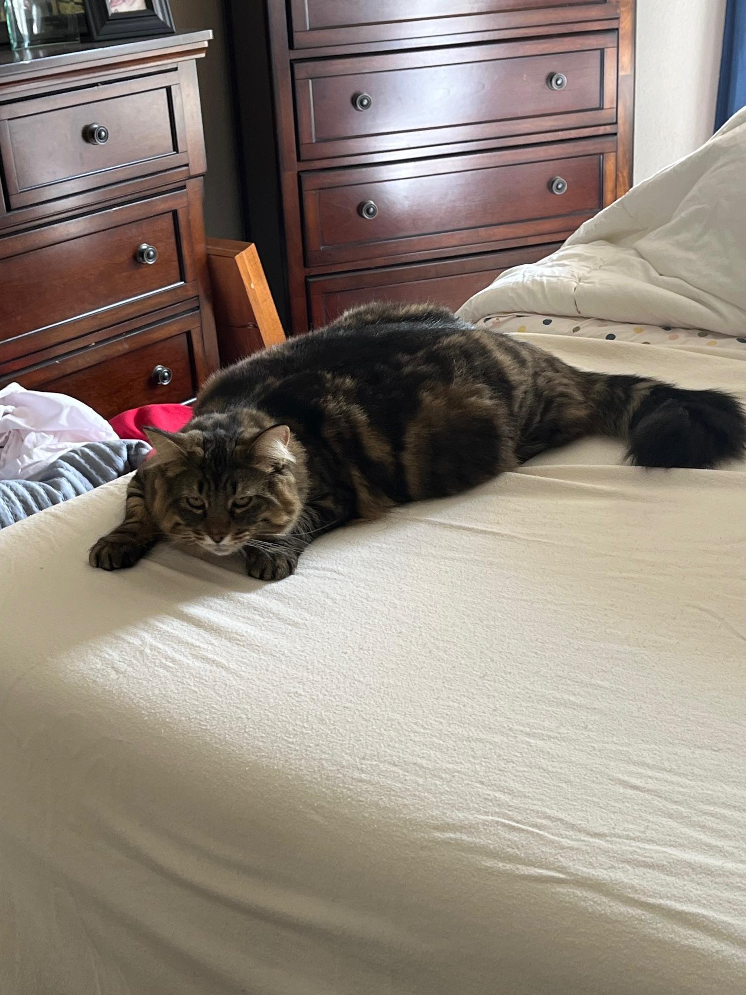 **COURTESY LISTING** Indy