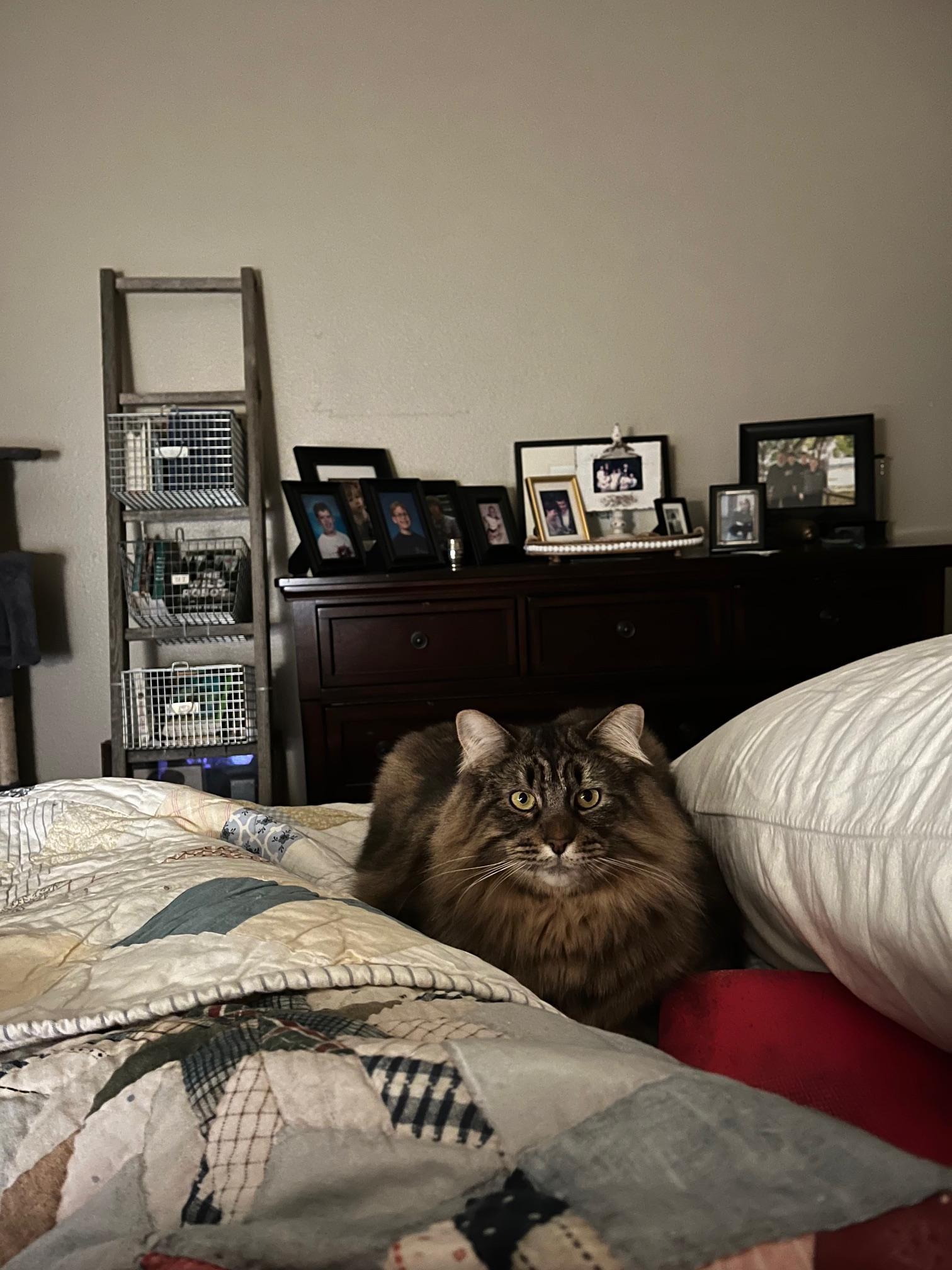 **COURTESY LISTING** Indy