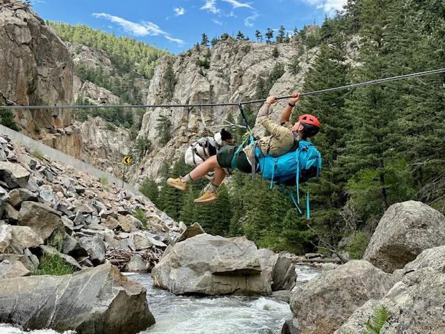 Teddy - active boy, a ADOPTABLE Rat Terrier in Boulder, CO image 5/6