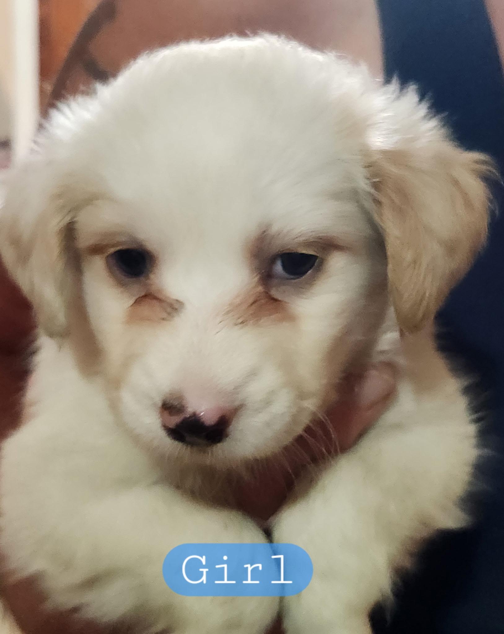 Girl 2