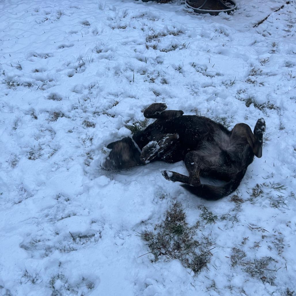 Booker — thumbnail 2