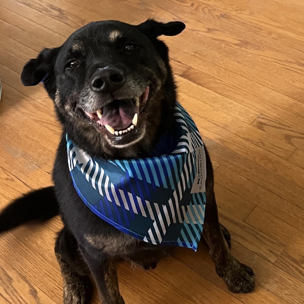 Booker — thumbnail 3