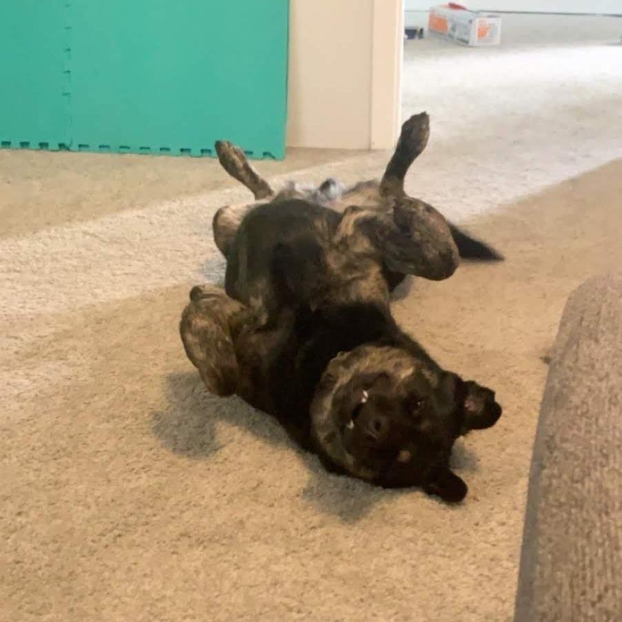 Booker — thumbnail 4