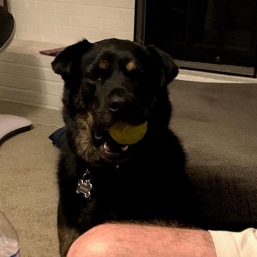 Booker — thumbnail 6