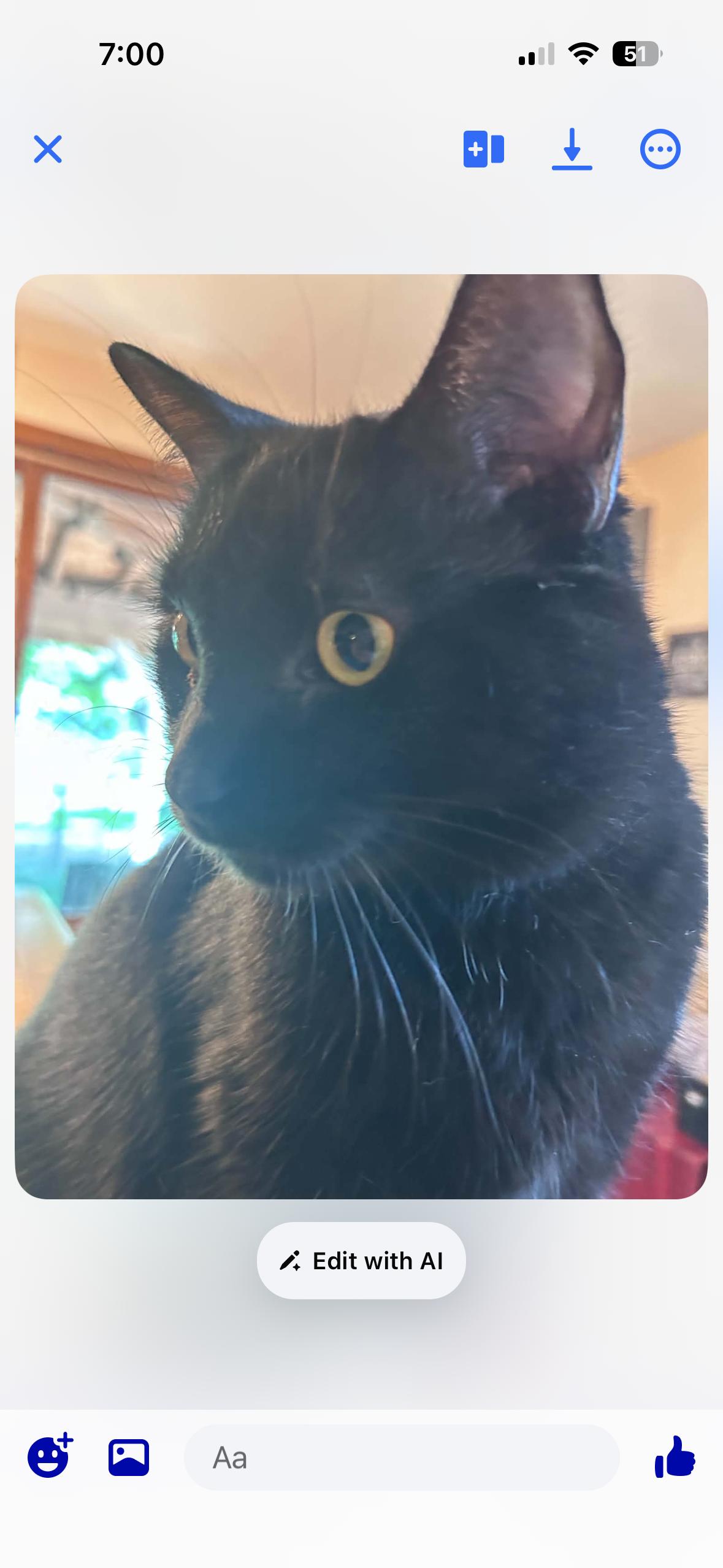 Enlarge Squeaks, a Adoptable Domestic Short Hair in Marlette, MI image 4/4