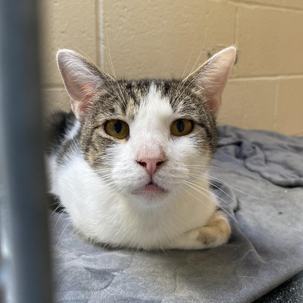 Flashdrive — thumbnail 2