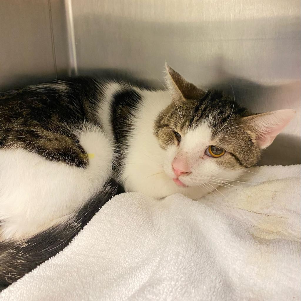 Flashdrive — thumbnail 3