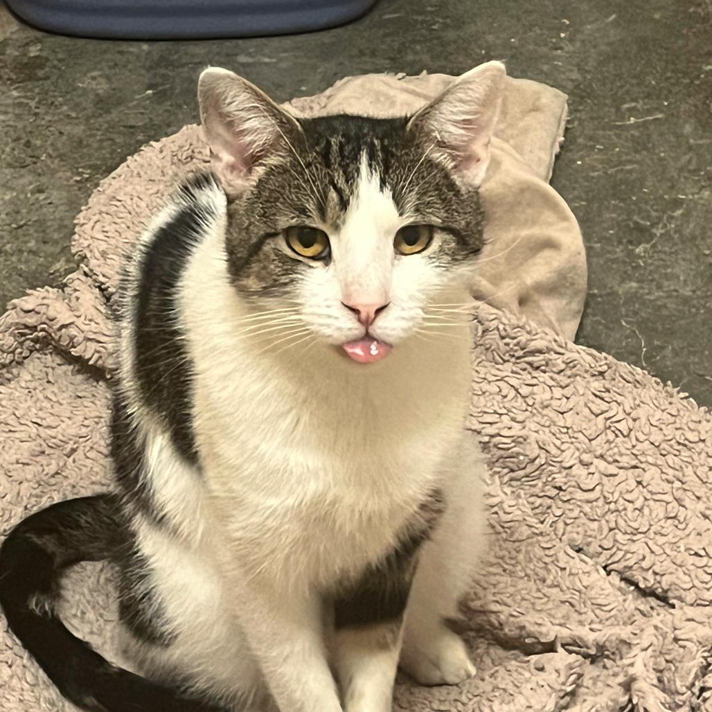 Flashdrive — thumbnail 4