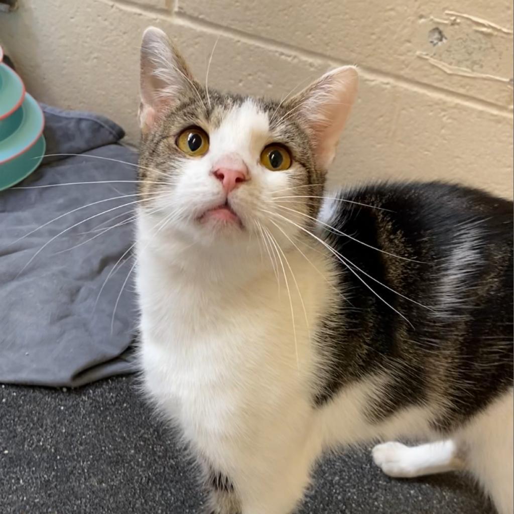 Flashdrive — thumbnail 5