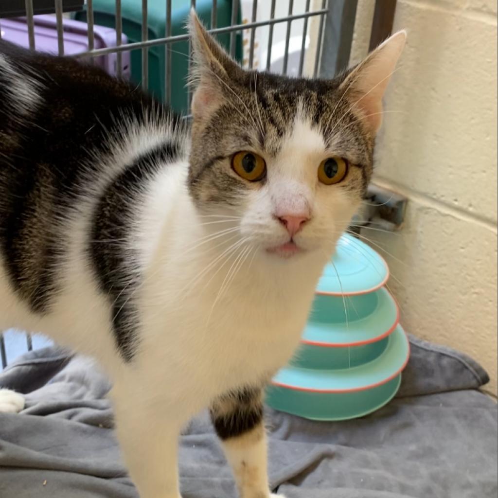 Flashdrive — thumbnail 6