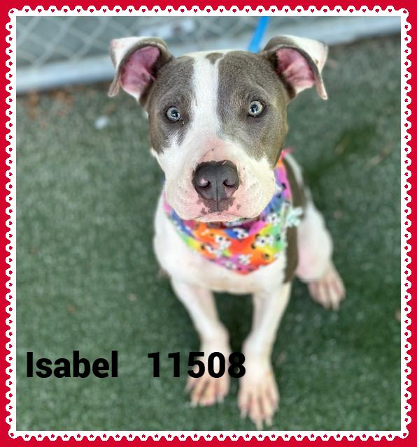 ISABEL (also see KANDY)