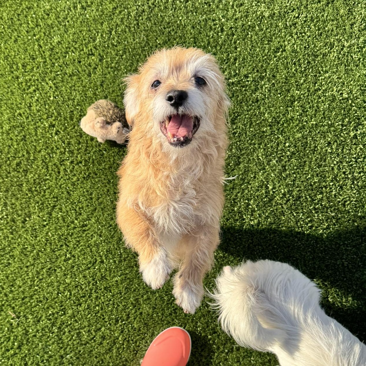 Benny