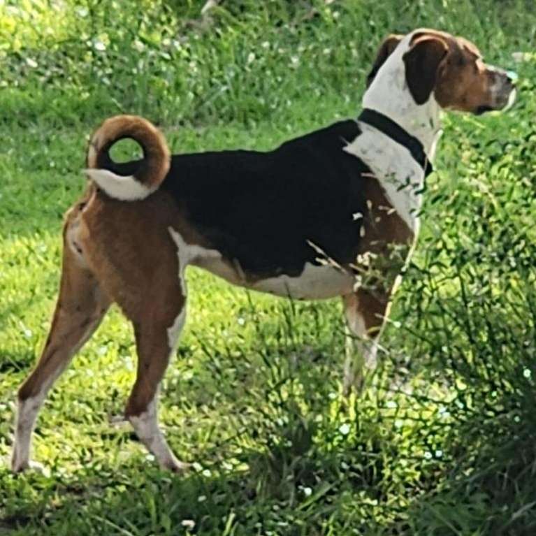 Curly Sue Jones thumbnail 5