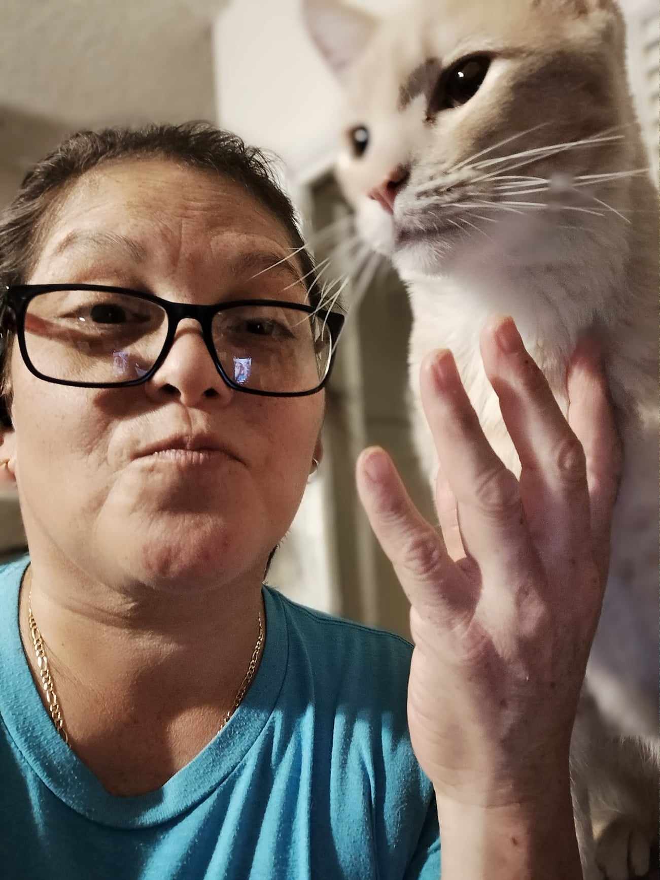 Enlarge CSI NICK STOKES, a Adoptable mixed breed in HEMET, CA image 2/4