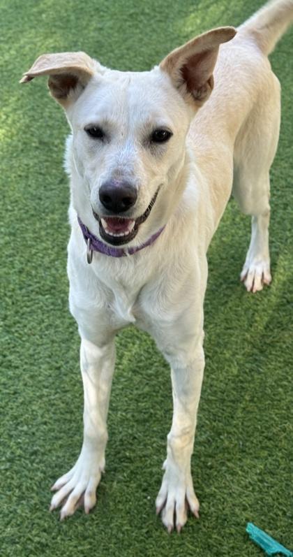 Crystal — thumbnail 2