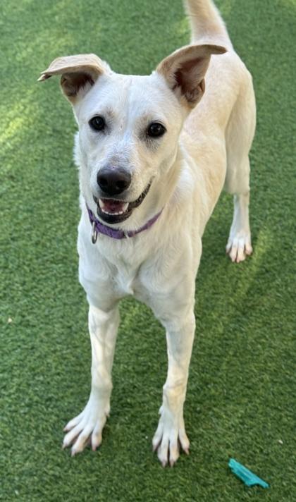 Crystal — thumbnail 3