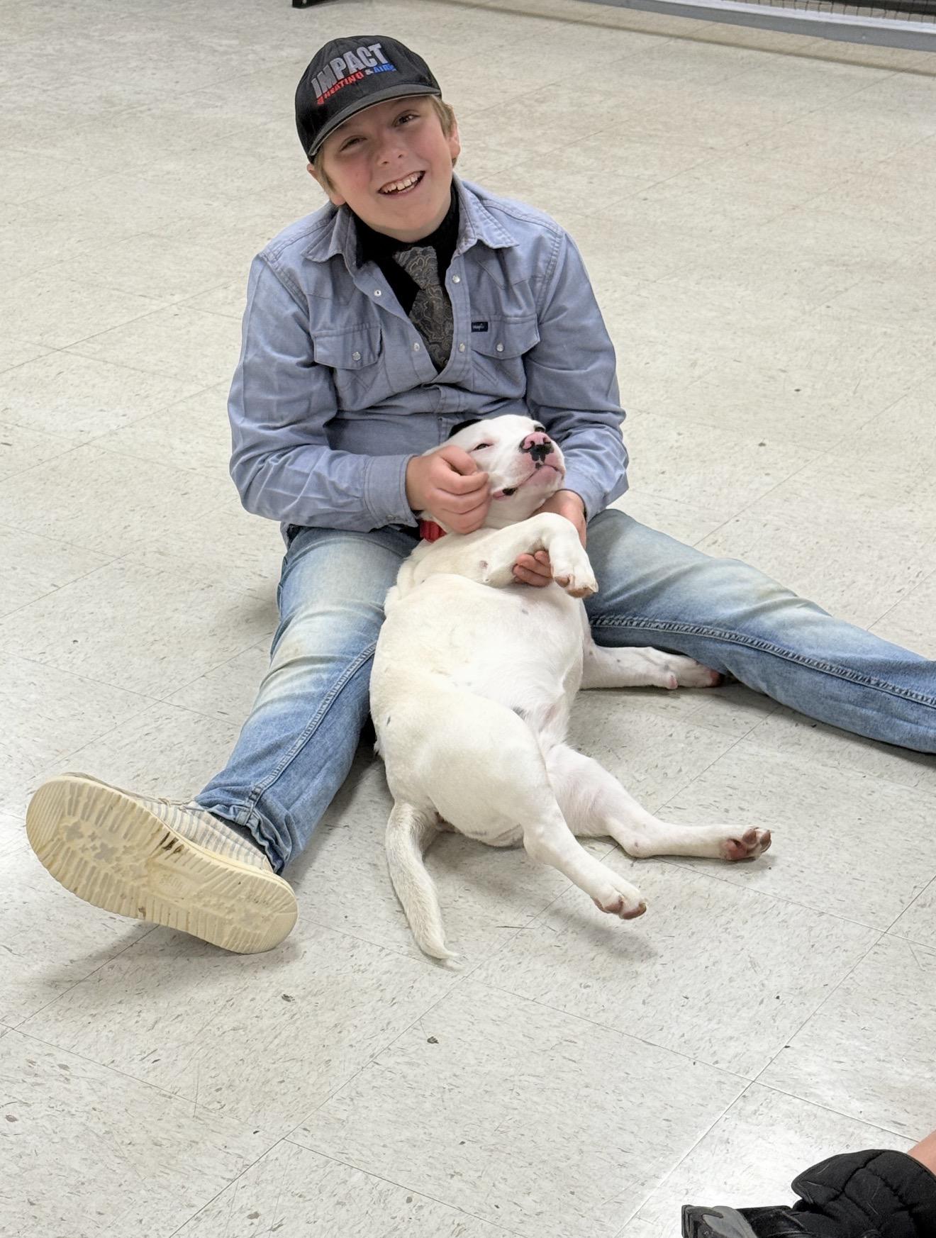REN , a Adoptable mixed breed in Fredericksburg, VA image 2/3