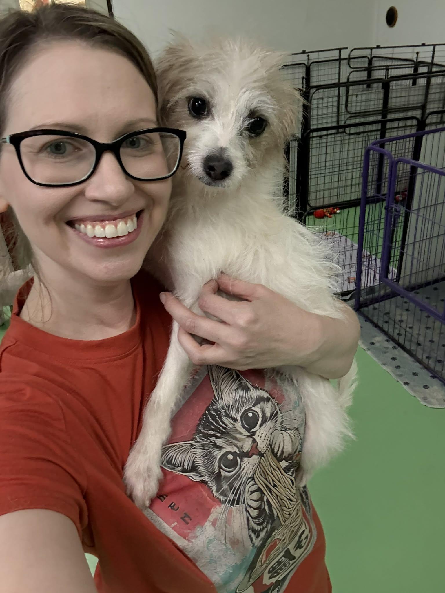 Enlarge Sakura, a ADOPTABLE mixed breed in PHOENIX, AZ image 3/6