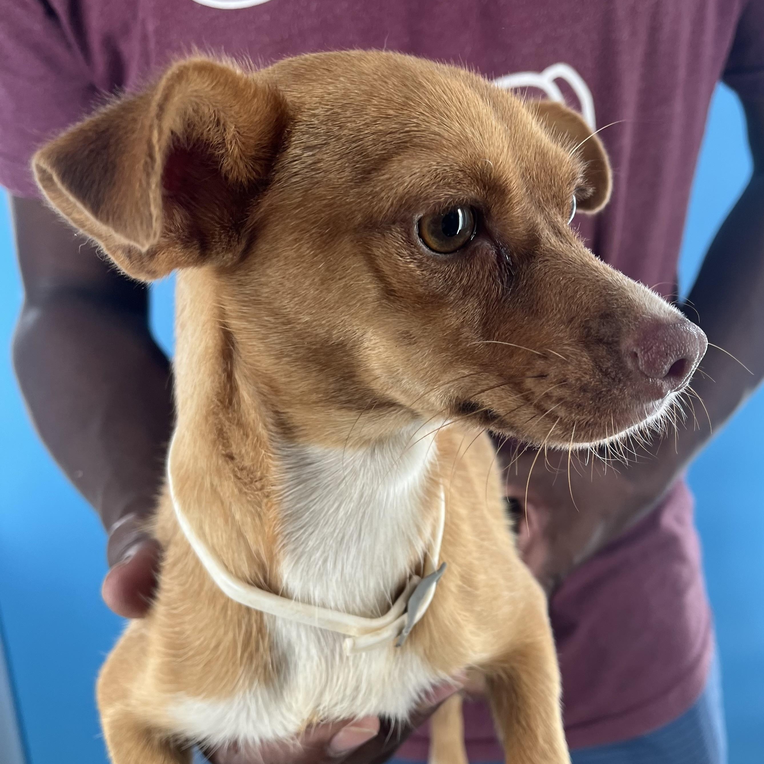 Tara  Local Nov thumbnail 5