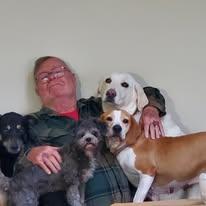 Enlarge Mabel, a Adoptable mixed breed in Terre Haute, IN image 4/5