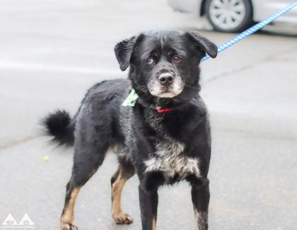 Akon — thumbnail 2