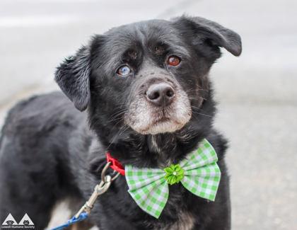 Akon — thumbnail 3