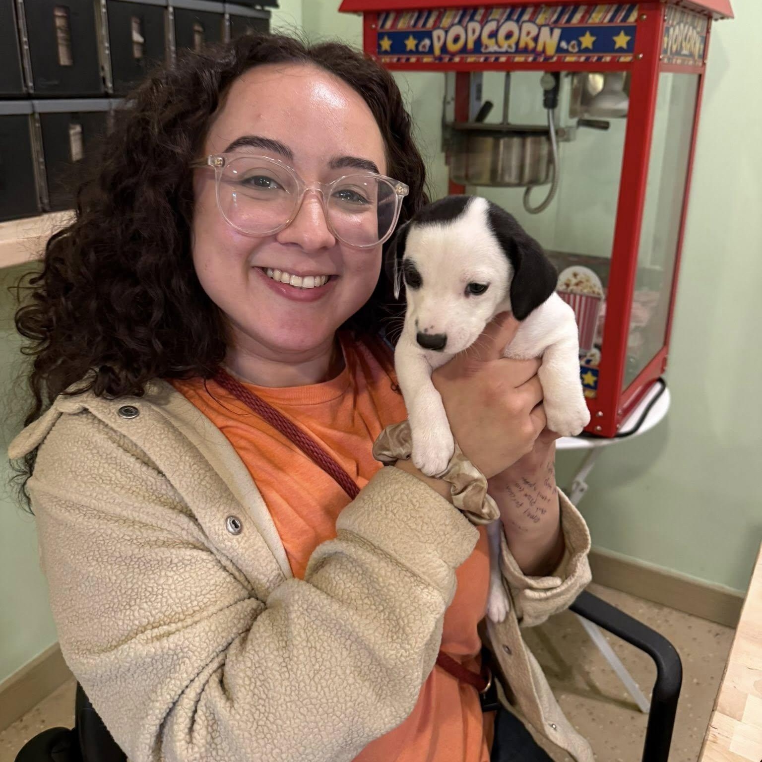 Enlarge Kylie, a Adoptable mixed breed in Nanuet, NY image 6/6